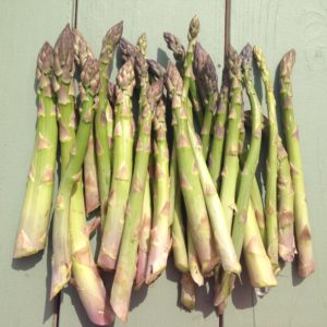 Asparagus 2016